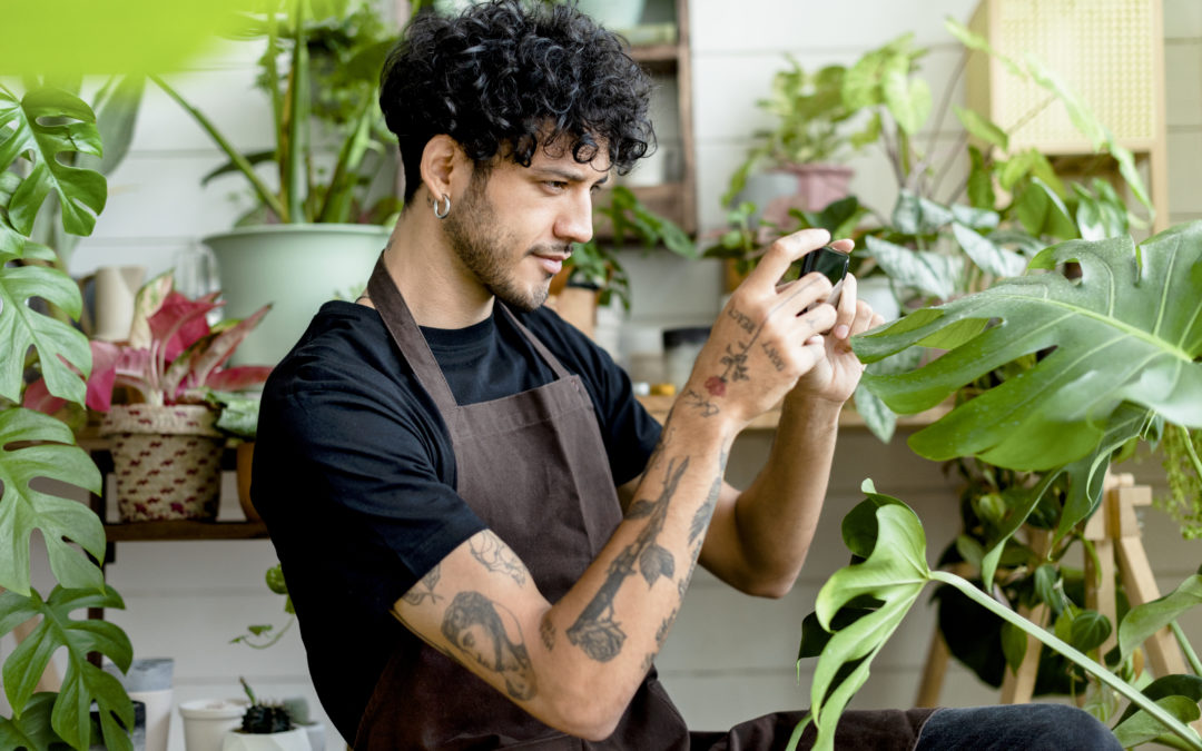 Homme prenant en photo des plantes