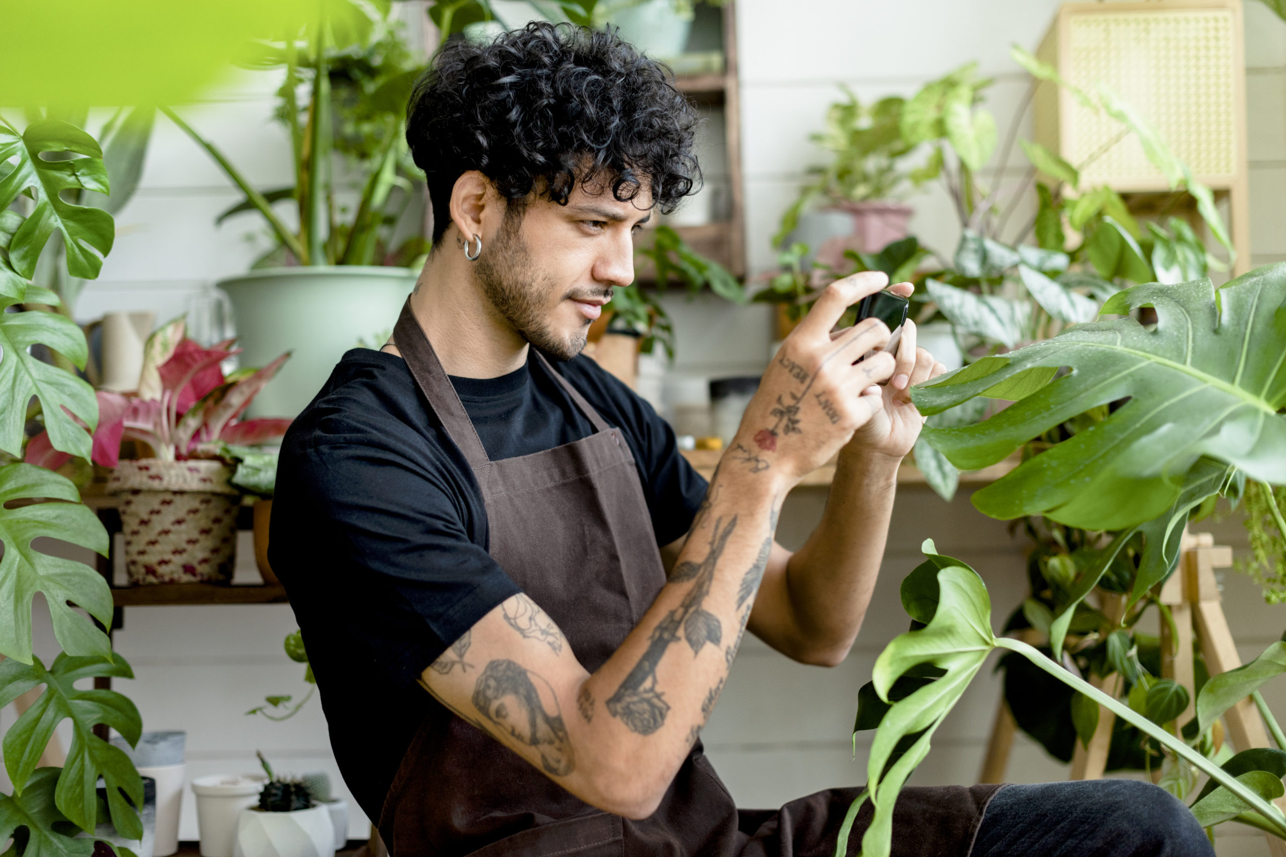 Améliorer les photos de mes produits Homme prenant en photo des plantes