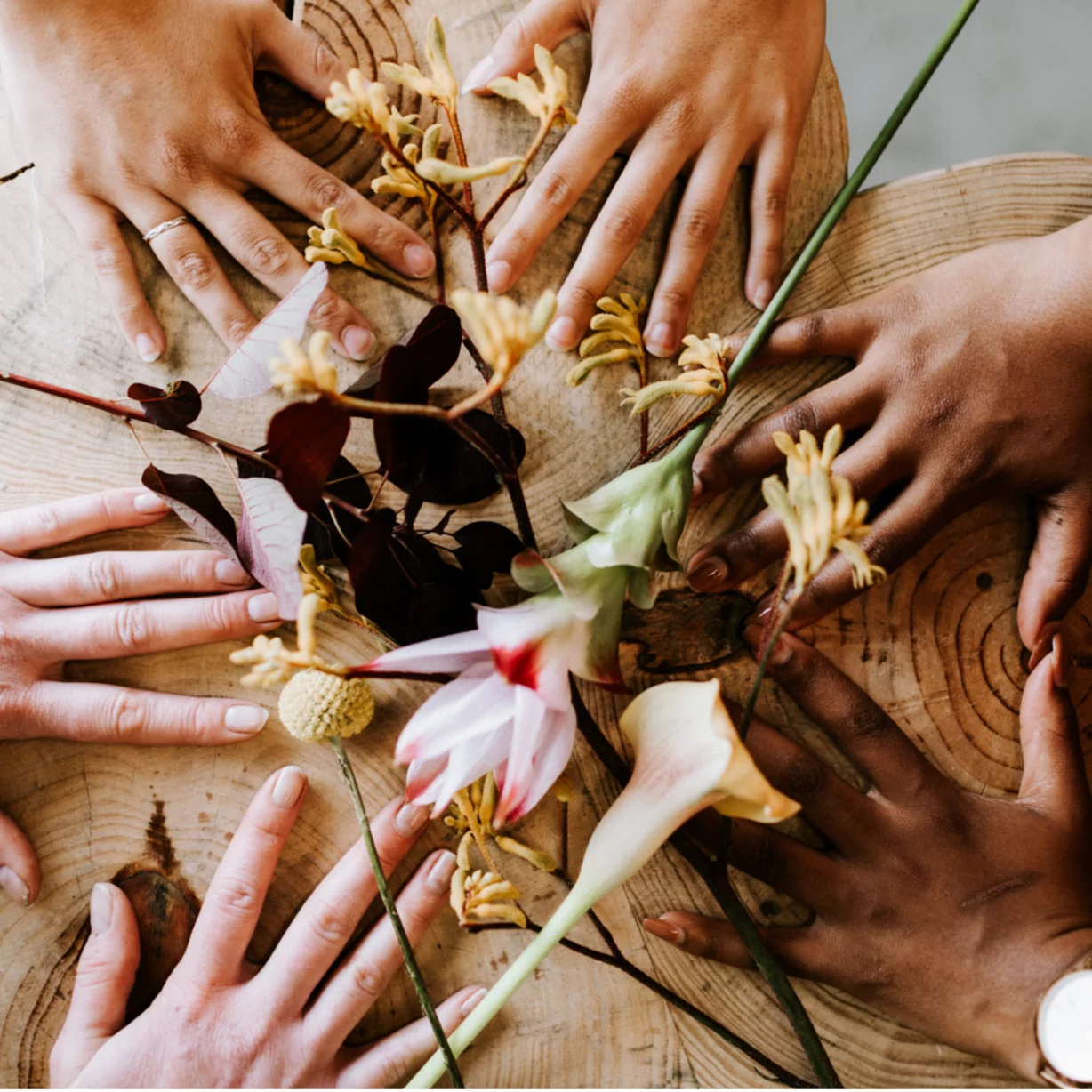 Mains de toutes les teitnes de peau en cercle pour solidarité autour des fleurs (1)-1228 main dans la main