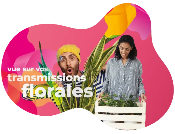 Illustration du suivi des transmissions florales depuis le logiciel de caisse